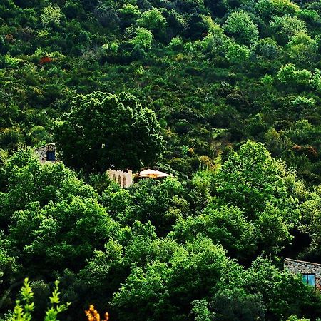 Il Cannito Capaccio Ngoại thất bức ảnh